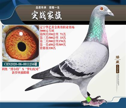 近十萬(wàn)元插組指定 “利奧博爾特”