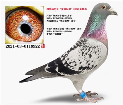 һNWՠ003䌦HN