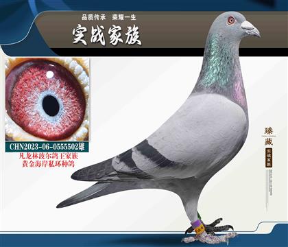遼寧黃金海岸 凡龍林波爾大本營(yíng)