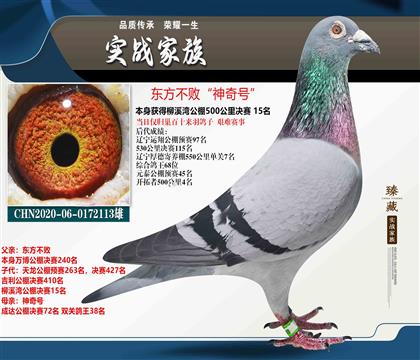 東方不敗神奇號(hào)公棚決賽15名
