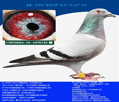 威廉迪布恩“墨菲定律”直子X(jué)“天王星”直女