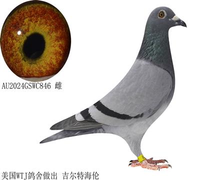 Ņِغ