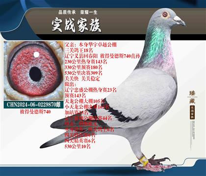 主力配對(duì)組合 天一公棚24名