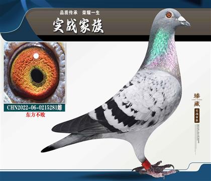 東方不敗鴿王家族