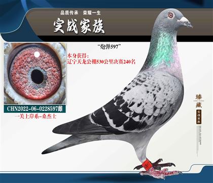 一關(guān)上岸 快速系 桑杰士