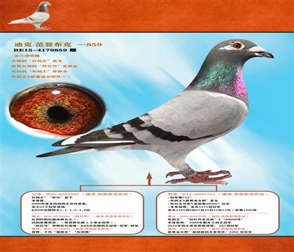 <һp䌦>üt̖H