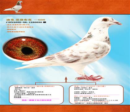 <mt>(chung)Լļtϵ