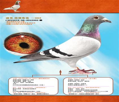 <һp䌦>ֱϵ