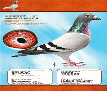 <һp䌦ؠ>Qِ11