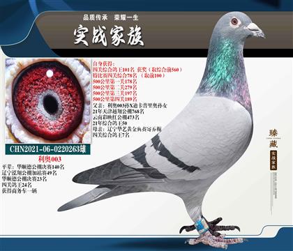 利奧 贏車(chē)家族