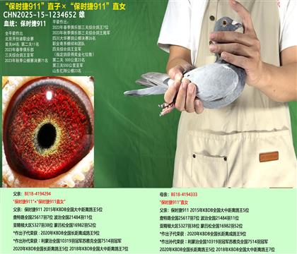 r911ֱӡr911ֱŮ