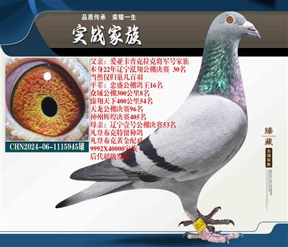 泓翔公棚30名X凡登布克遼寧壹號(hào)公棚53名