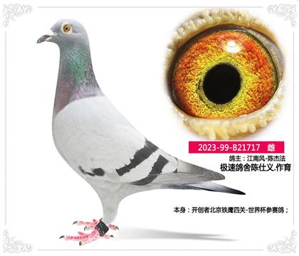 Ox.--_(chung)߱FP(gun)-籭ِ---