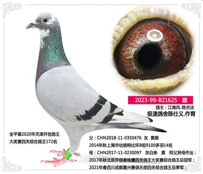 O-x--_(chung)߱籭ِ   	