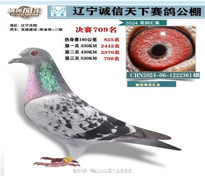 O(sh)Qِ709ȱX