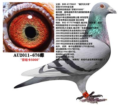 芬尼卡5000“阿斯克”孫代
