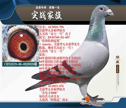 “帝王一號(hào)”X芬尼卡5000阿斯克