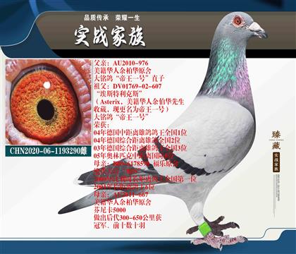 “帝王一號(hào)”X芬尼卡5000阿斯克