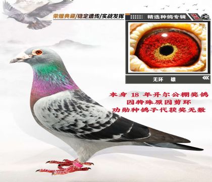 o(w)h(hun)N (zhn)）(j)Ѫy(tng) 18_(ki)彩(jing)