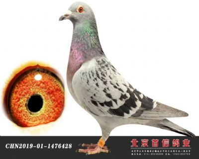 ҲĬ·N
