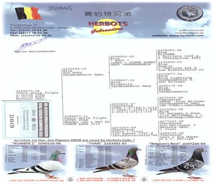 Ѫy(tng)
