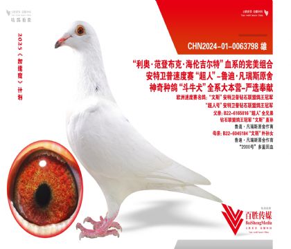 @ʯ(lin)ˡȫ-0063798