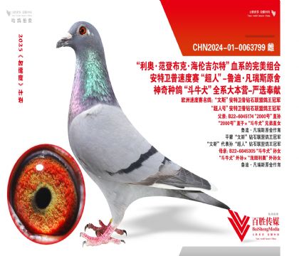 2000̖ţȮѪϵ-0063799