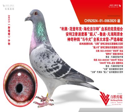 ^üt̖ػѪ-0063820