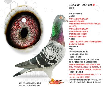 游1300f