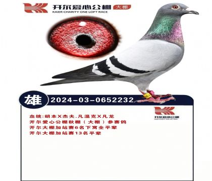 開爾大棚6名下窩.全平輩