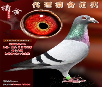O].(j)N._(ki)(zhun)