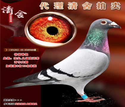 O].(j)N._(ki)(zhun)