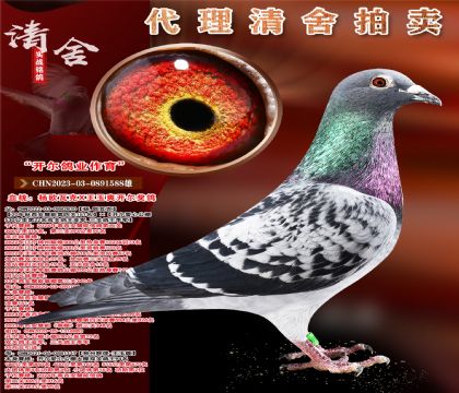 _(ki)I(y).W߿Xˬ_(ki)(jing)