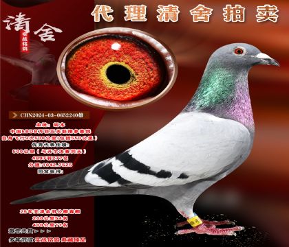 中國(guó)KBDB萬羽聯(lián)翔9次500公里
