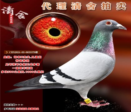 _(ki)(zhun)(sh)(zhn)