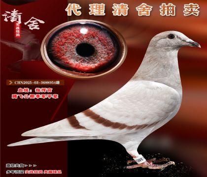 指揮官.公棚季軍平輩