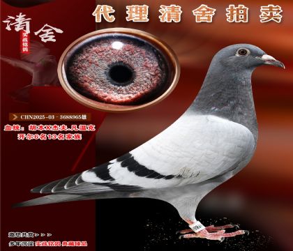 _(ki)6,13