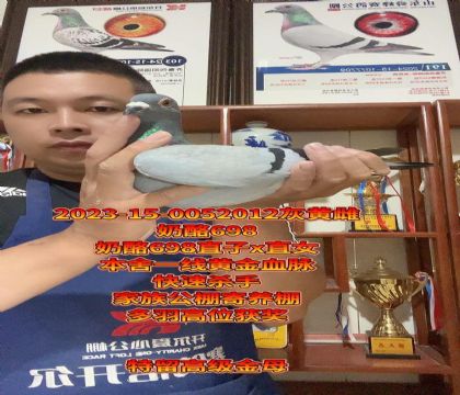 ؄e]߼(j)ĸ698ֱxֱŮ