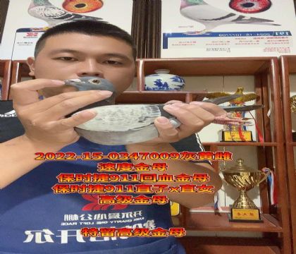 피(j)ĸr(sh)911ֱxֱŮ