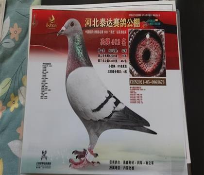 ĸƬ