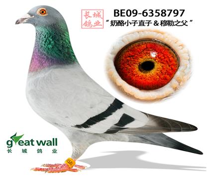 游