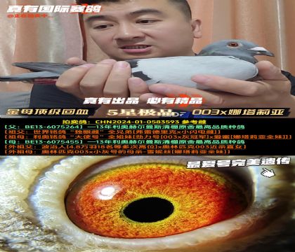 ^WԭӴĸ򁆻Ѫ