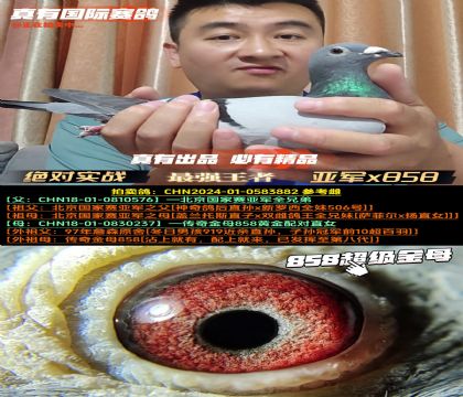 (sh)(zhn)858塷(gu)ِ܊x858S䌦(du)ֱŮ