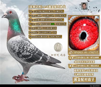 858O