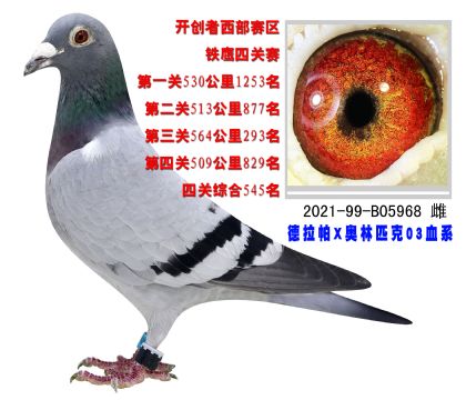 (wn)A_(chung)PC545