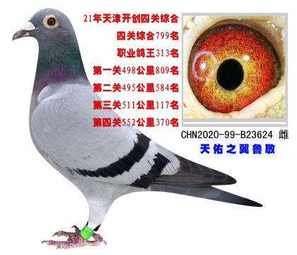 ֮-_(chung)I(y)313