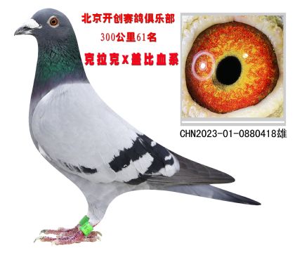 _(chung)30061