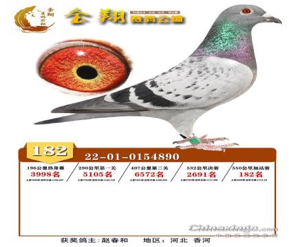 內(nèi)蒙古金翔賽鴿公棚550公里加站賽182名 雄