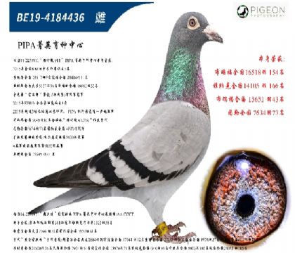 r(sh)911ֱŮٶһM