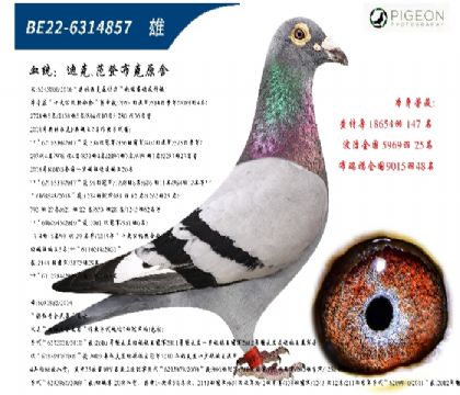 Ͽ˷ǲ˻ؠ006ֱӣ؄e]
